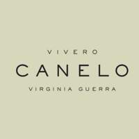 Canelo Exteriores