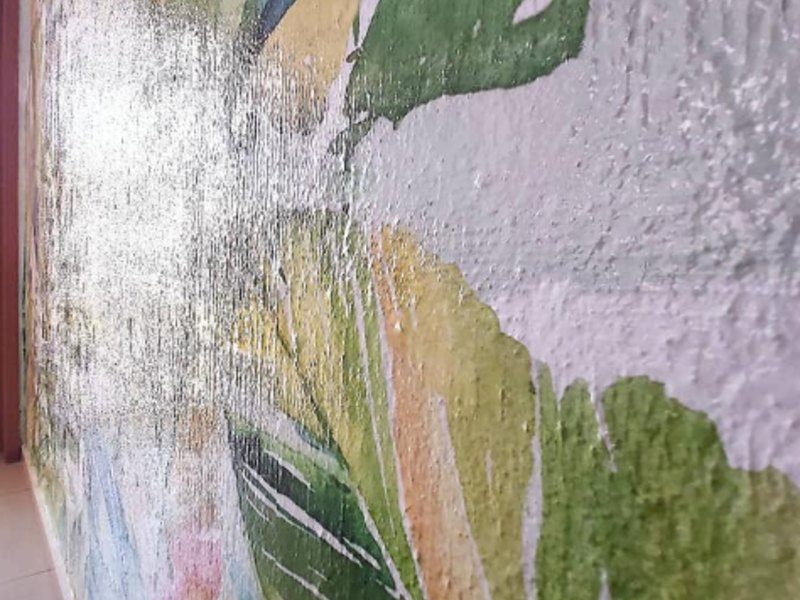 PAPEL TAPIZ HIDALGO