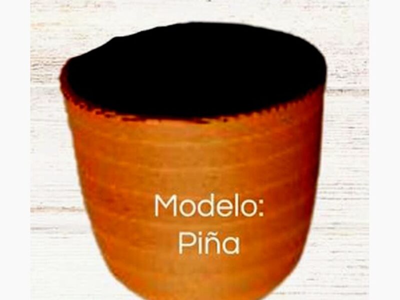 Maceta modelo Piña Mexico
