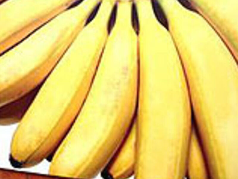 Cuadro Decorativo Bananas Potosí
