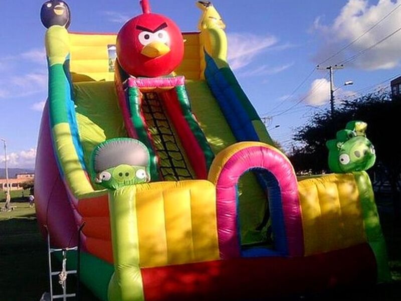 TOBOGAN ANGRY BIRDS
