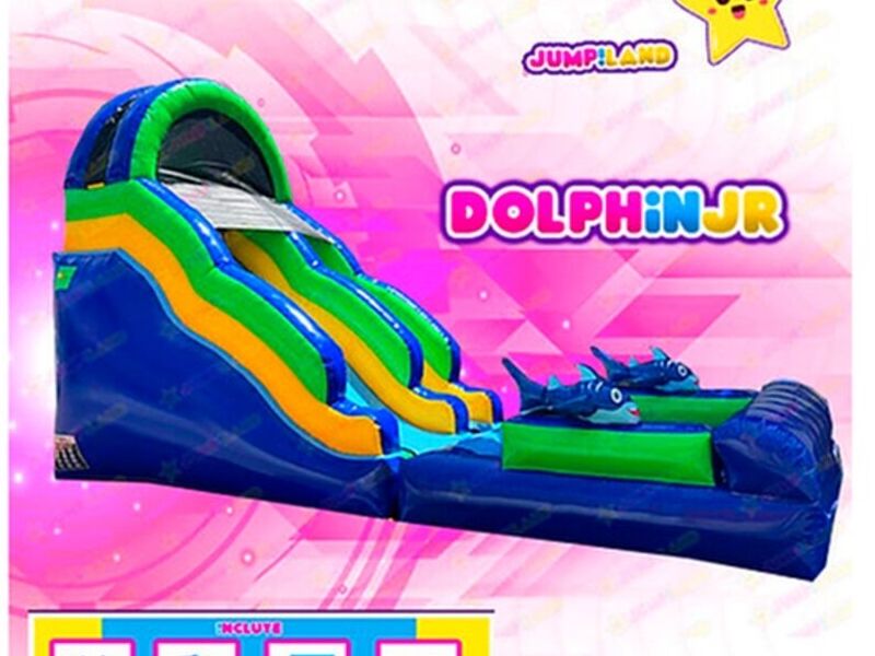 Dolphin JR