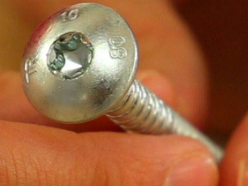 Tornillo trox Leon.