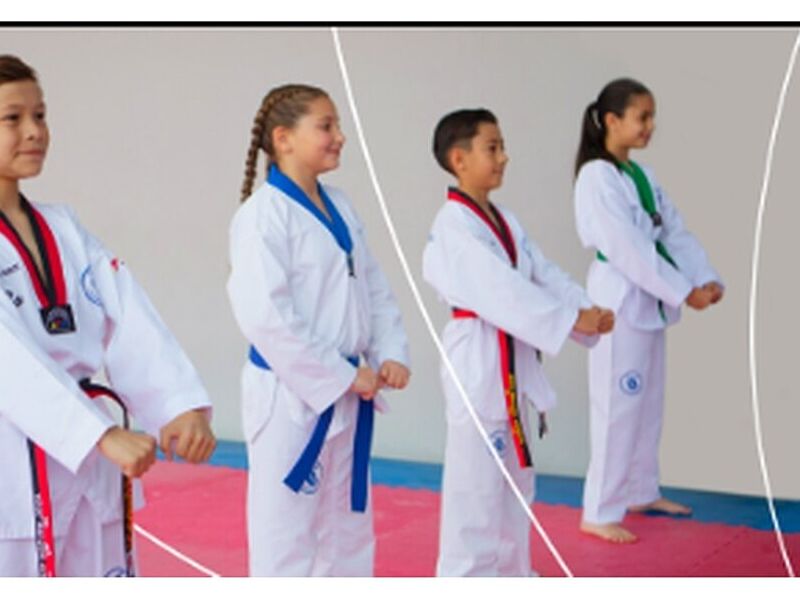 ESCUELA DE TAEKWONDO