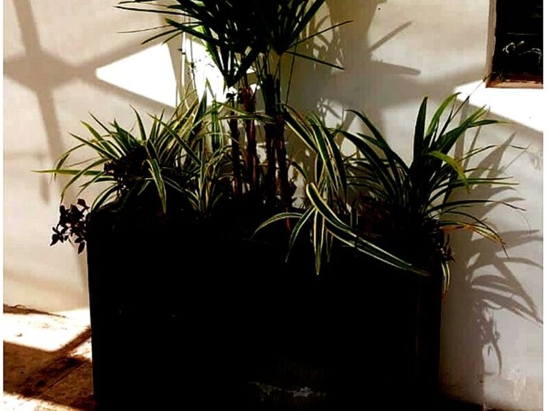 Maceta rectangular negra Mexico