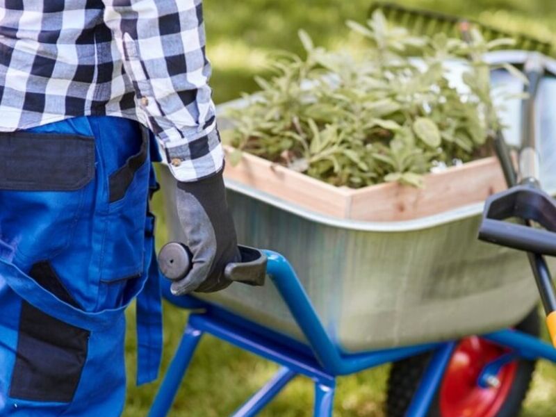 Servicio Jardinería México