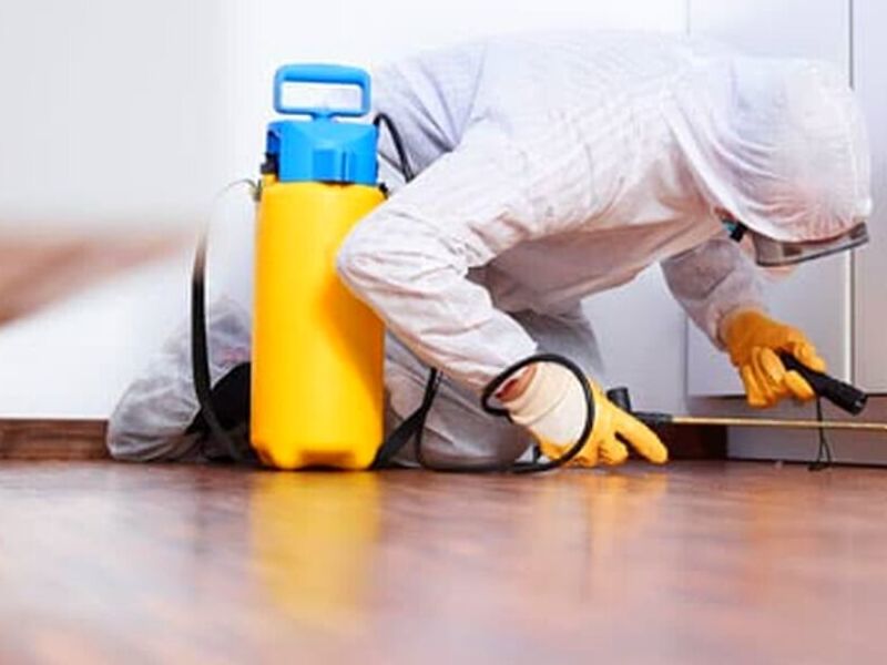 Servicio Fumigacion Cancun