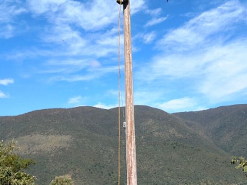 Cédulas Cableado Cuernavaca