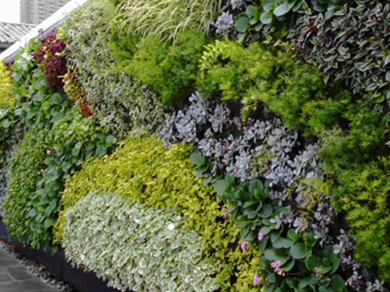 JARDINES VERTICALES MÉXICO