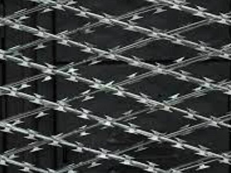 Razor Ribbon Ciudad de Juárez