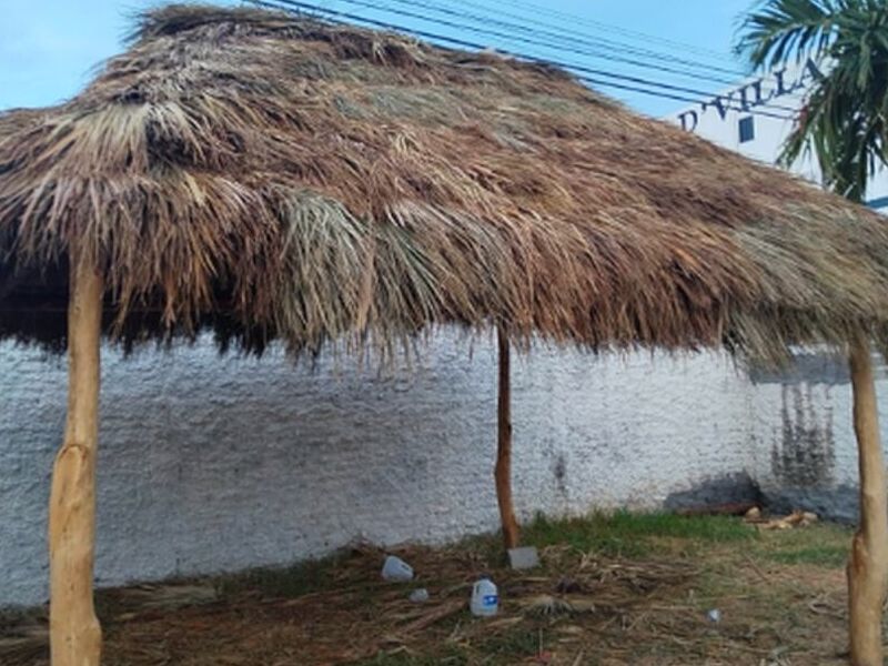 Palapas Paja Mazatlan 