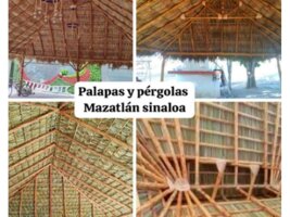 Palapas Y Pérgolas