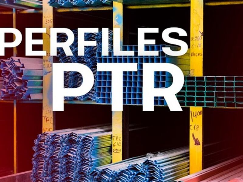 Perfiles PTR México