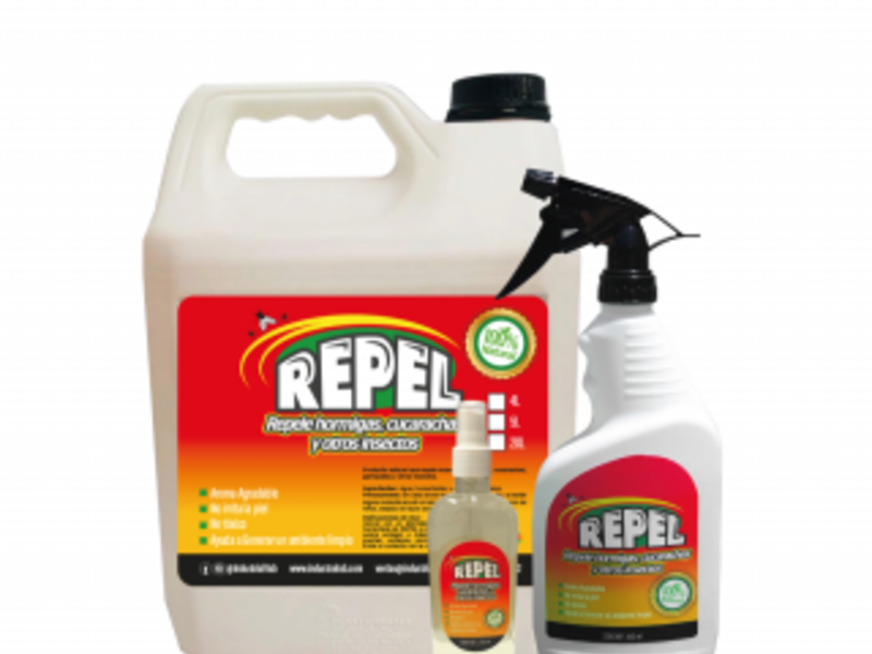 REPEL MÉXICO
