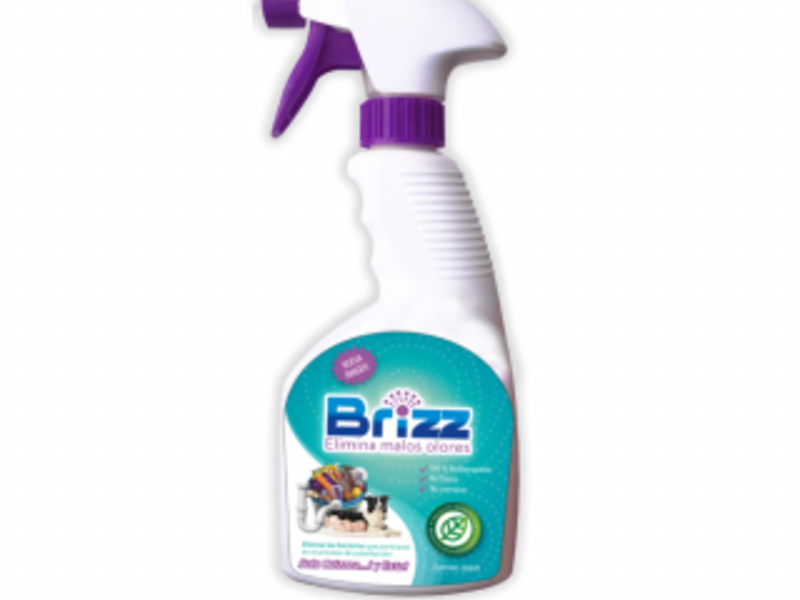 BRIZZ MÉXICO