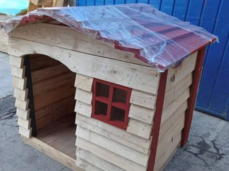 Casita Perro México