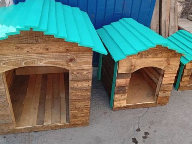 Casitas Perro Techo azul México
