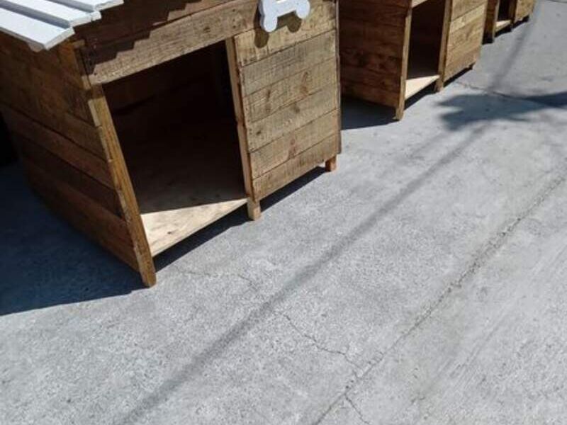 Casitas Perro Techo Blanco México