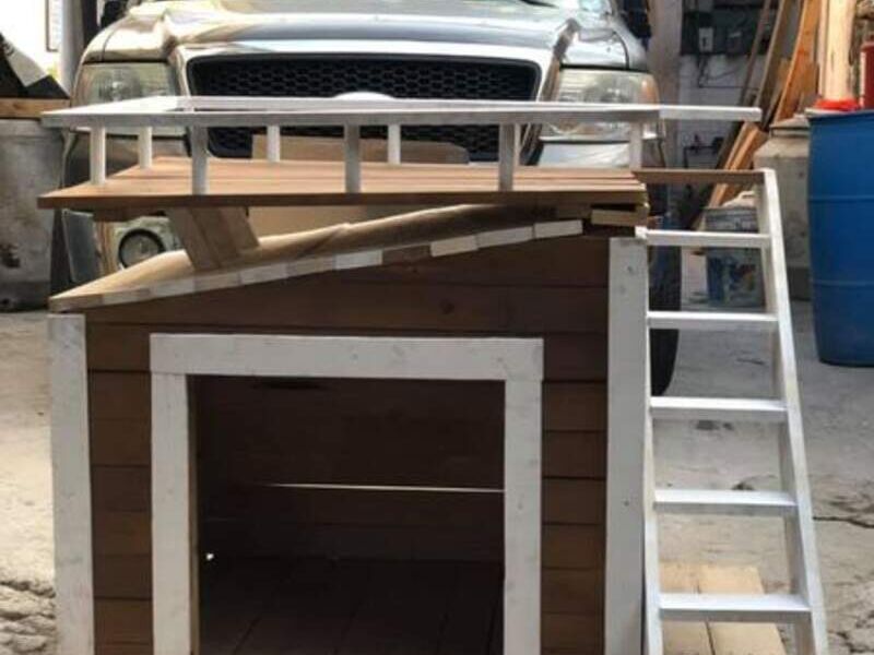 Casitas Perro Terraza México