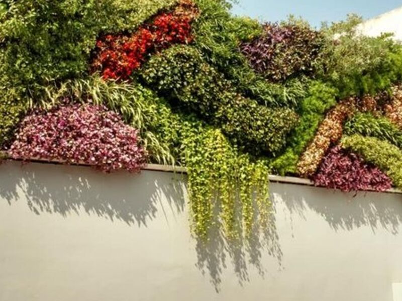 Diseño Jardines Minimalistas México
