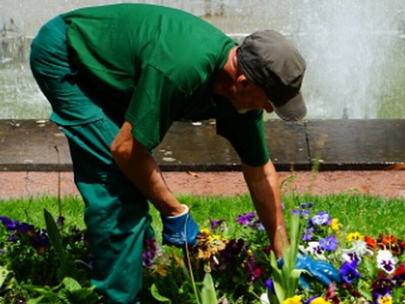 Jardinería 1