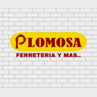 Plomosa Cd. Obregón