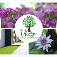 VIVERO LA FLOR DE MORELOS