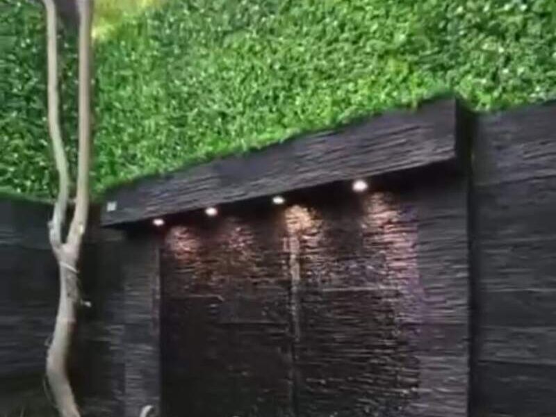 Muro Verde 1 México