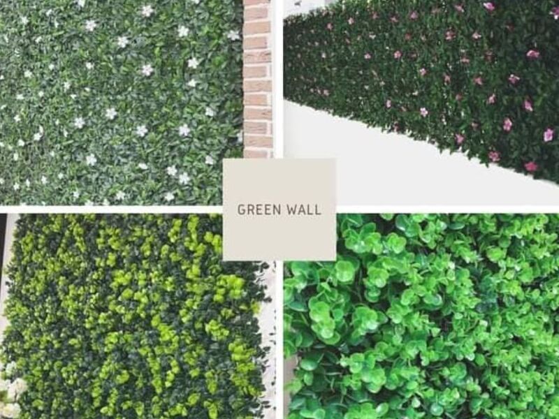Muro Verde Flores Blancas México