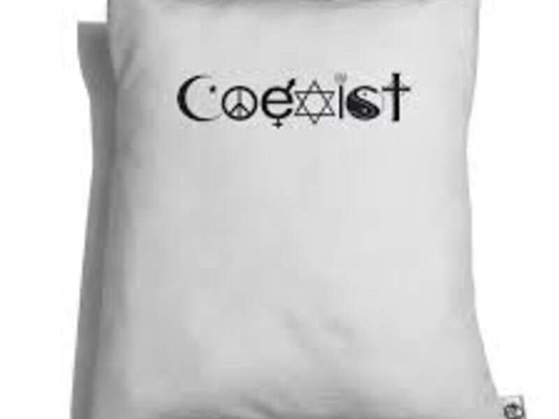 Cojín Decorativo Coexist México
