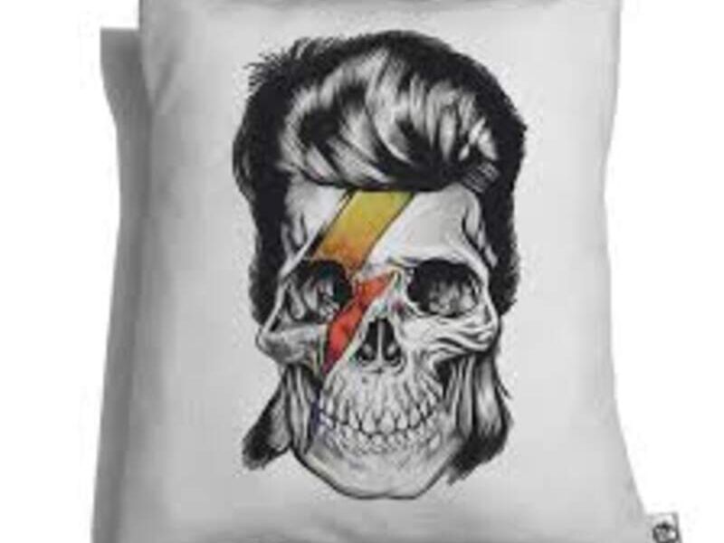 Cojín Decorativo Skull Bowie México