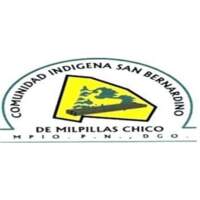 Comunidad San Bernardino de Milpillas Chico