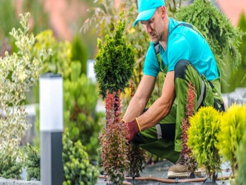 Jardinería Colima
