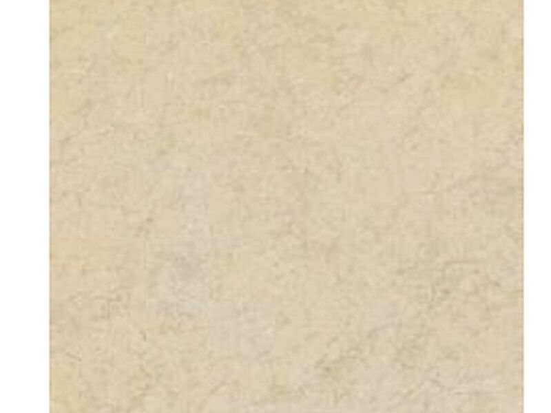 Bela Beige México