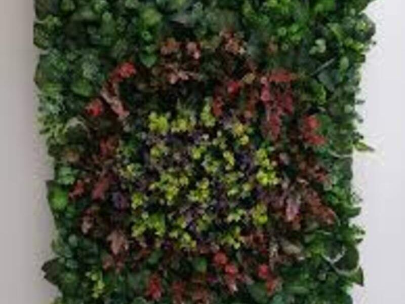 Muro Verde Artificial Elite Deluxe México