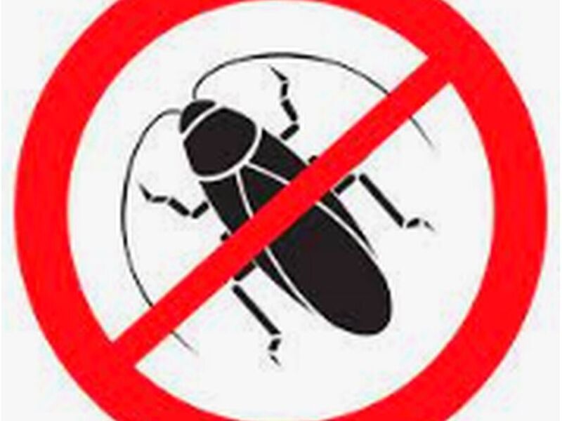 Exterminación cucarachas Mx
