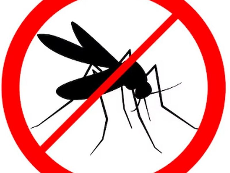 Fumigación Mosquitos Mx