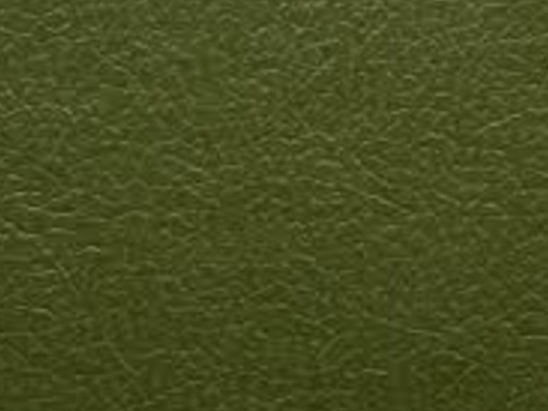 Textil Cuero Verde Reynosa
