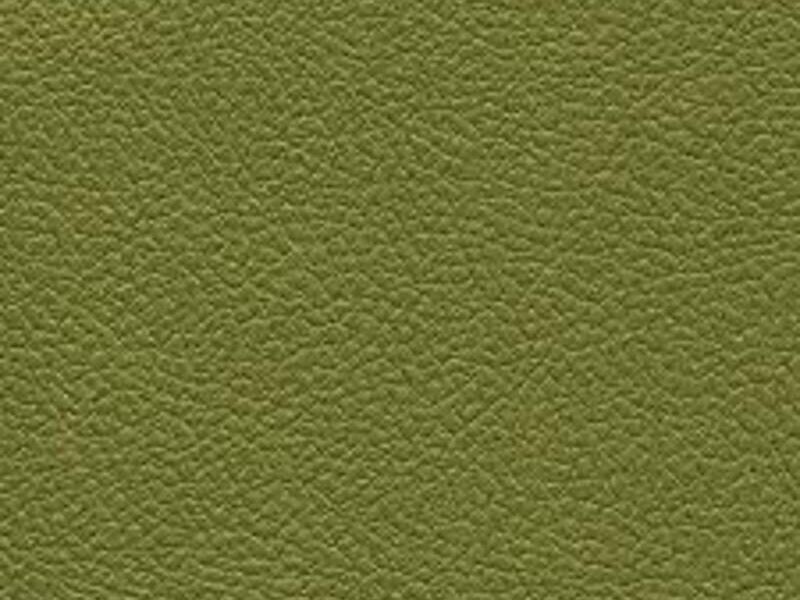 Textil Cuero Olivo Reynosa