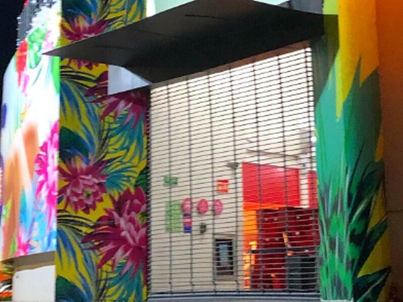 Puerta metalica rejas Guadalajara