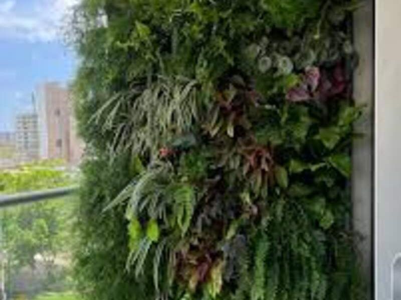 Jardin vertical residencia 2 México