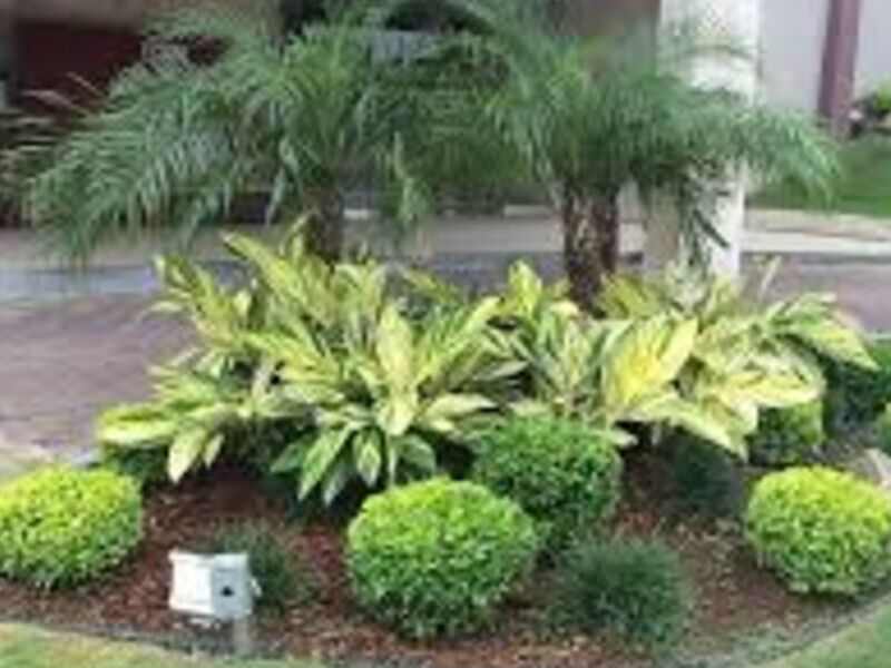 Jardín Modelo 2 México