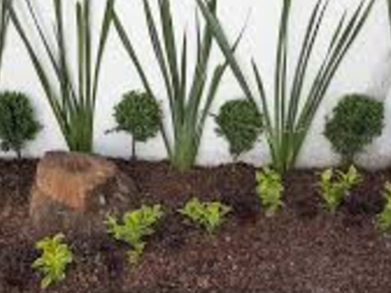 Jardín Modelo 4 México