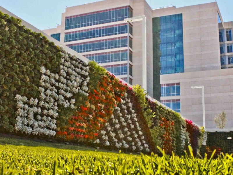 Jardinería México
