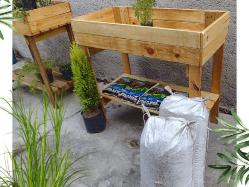 Mesa de cultivo México