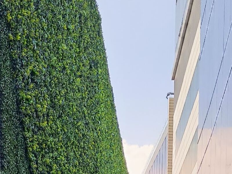 Muro Verde 1 México