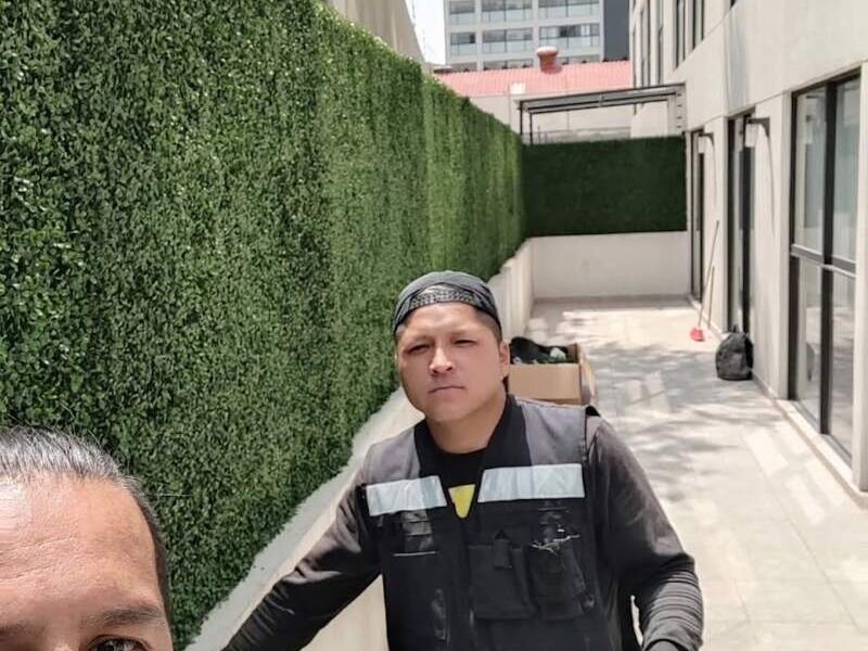 Muro Verde 2 México