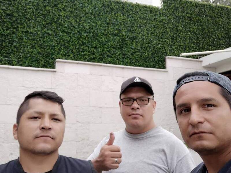 Muro Verde 4 México