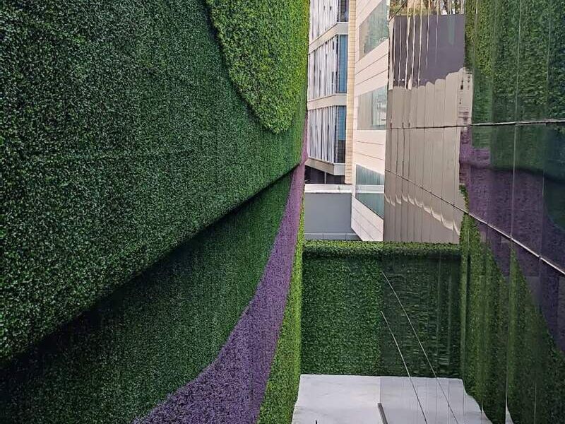 Muro Verde 7 México