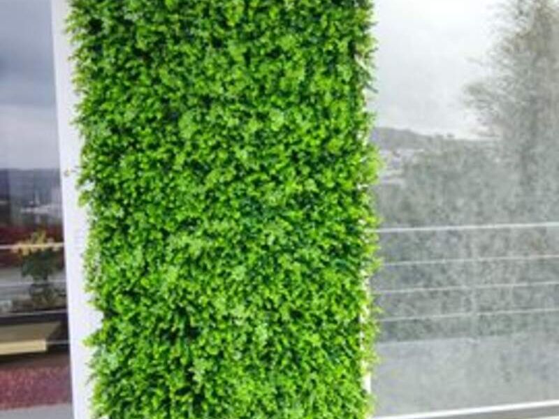 Muro Verde 8 México
